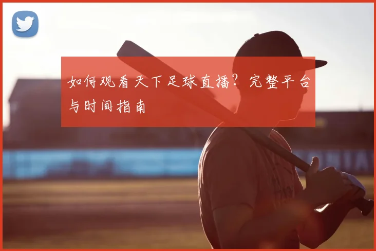 如何观看天下足球直播?完整平台与时间指南
