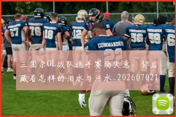 三国杀OL战队选手赛场失意,背后藏着怎样的泪水与汗水_20260702173906